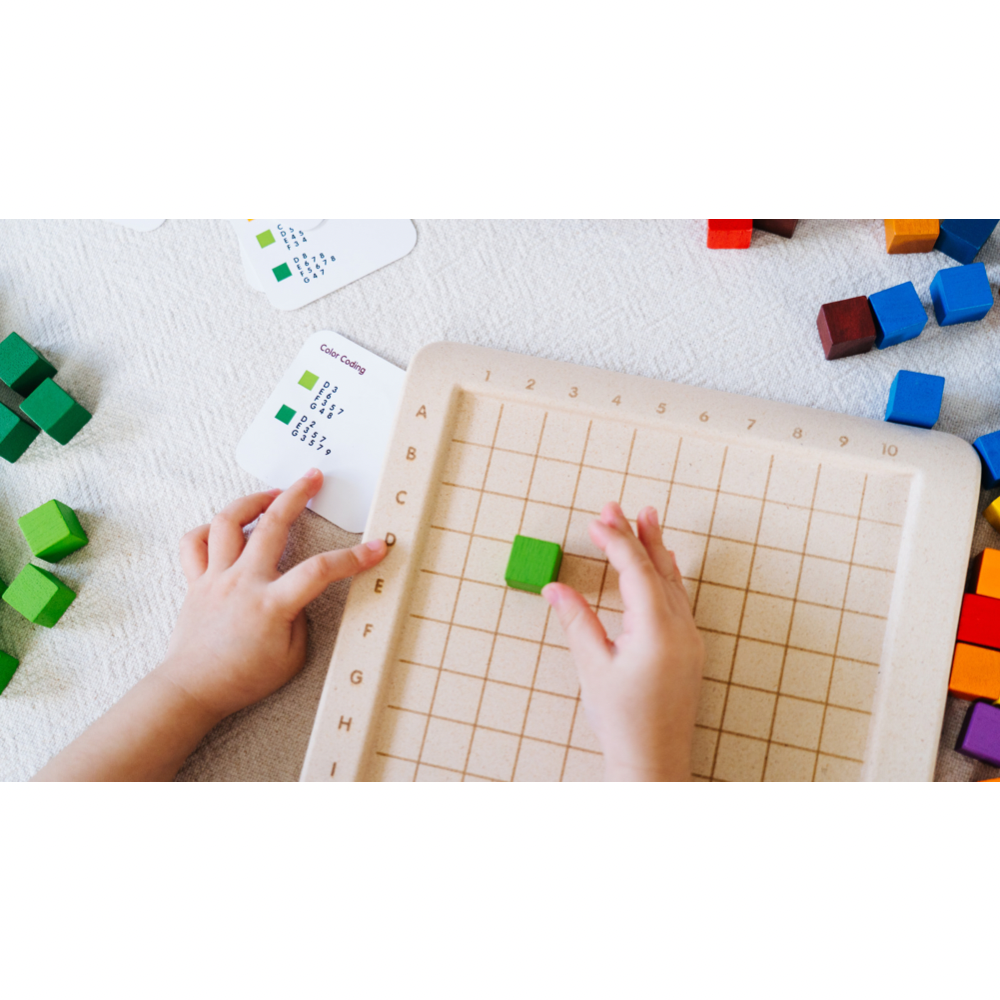 Blokkenpuzzel tellen en sorteren - 100st